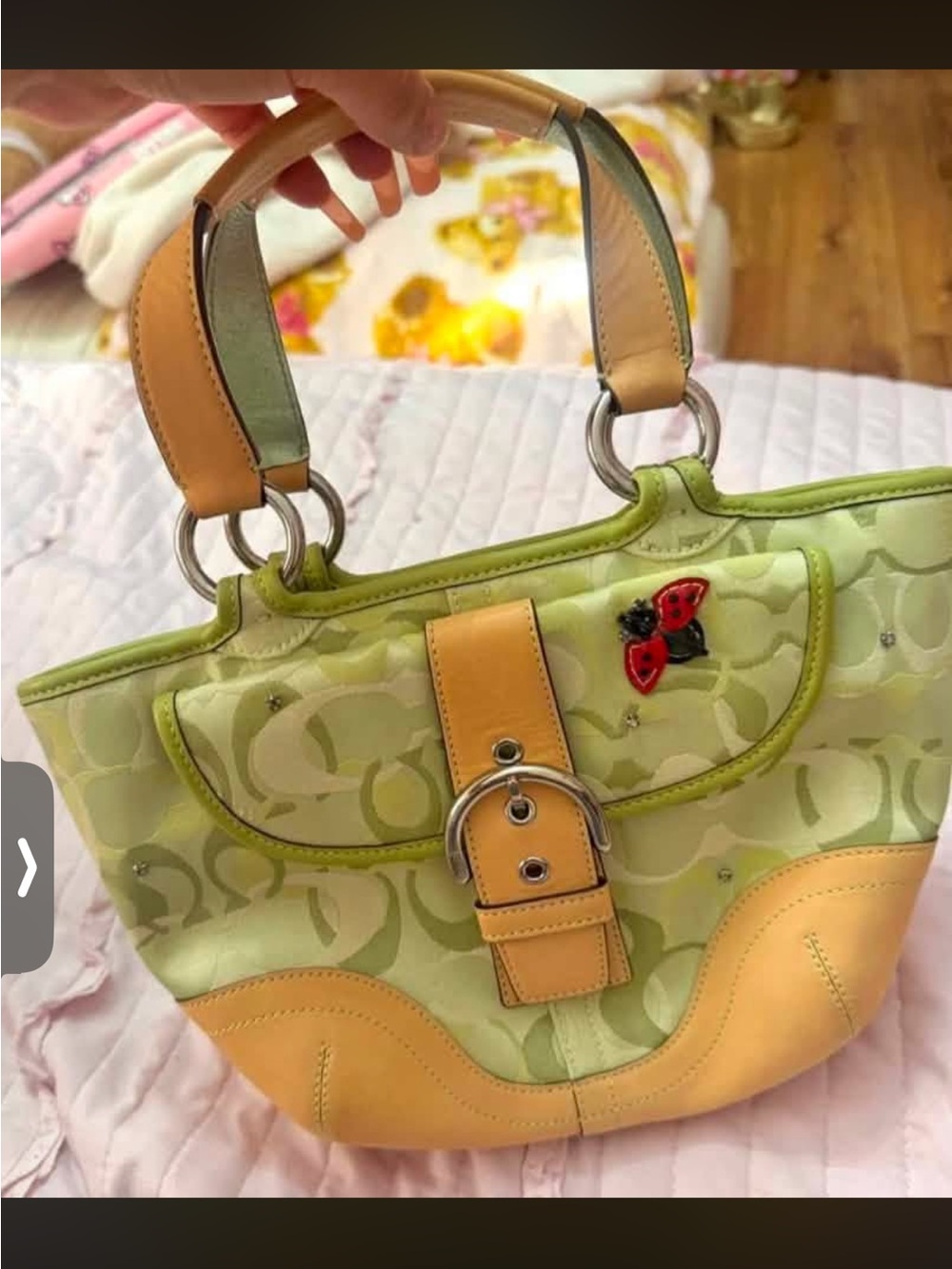 ISO Ladybug Tote Bag - PLEASE DO NOT BUY!